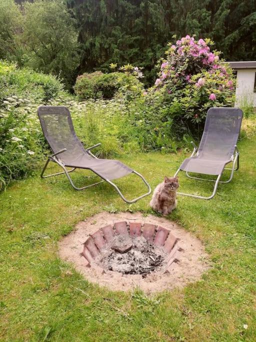 Ferienwohnung Fuer Naturfreunde Rathmannsdorf Exteriör bild