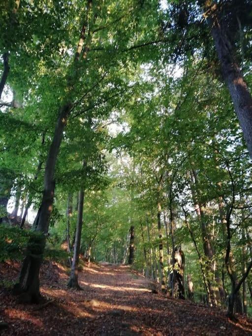 Ferienwohnung Fuer Naturfreunde Rathmannsdorf Exteriör bild